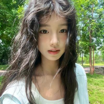 寻找神话之鸟